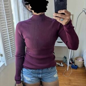 Aritzia Wilfred Burgundy Ribbed Knit Top